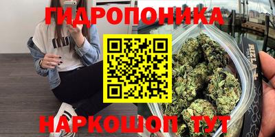 a pvp Владивосток