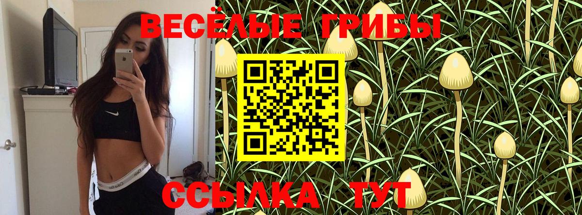 Дивногорск  Псилоцибиновые грибы ЛСД  Вход с VPN 