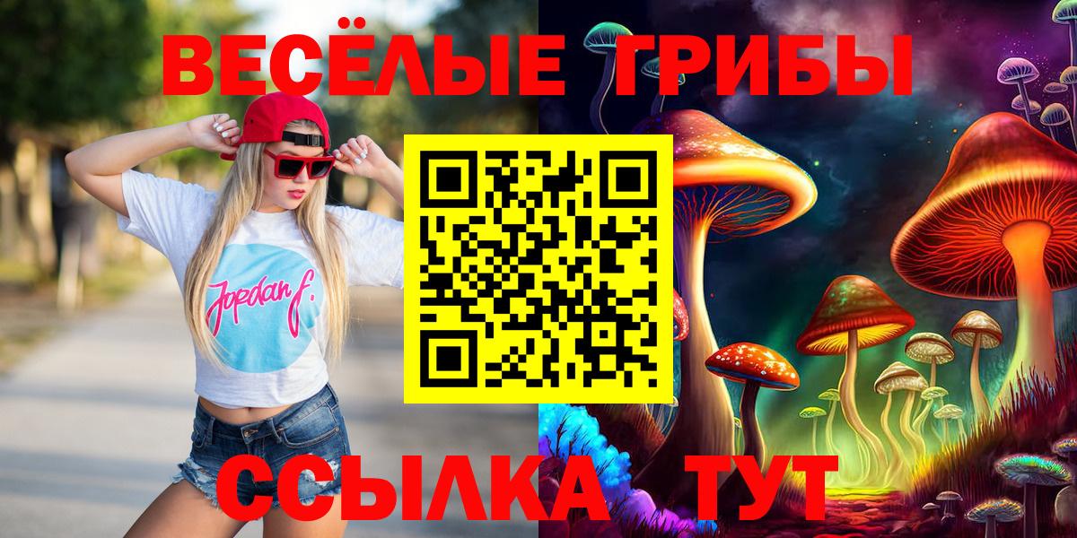 Галлюциногенные грибы Cubensis Дивногорск
